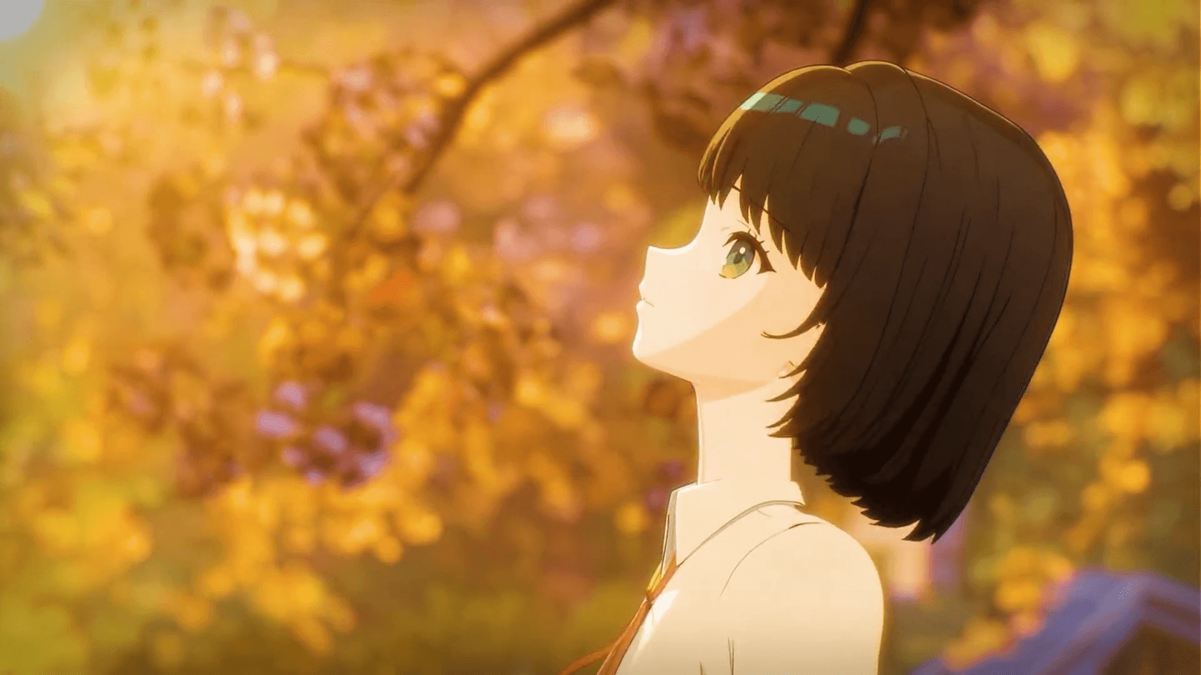 showcase-video-poster-1